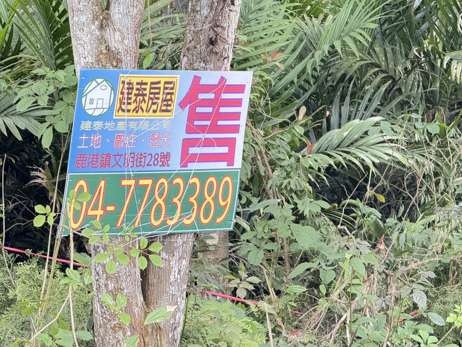 鳳凰谷土地