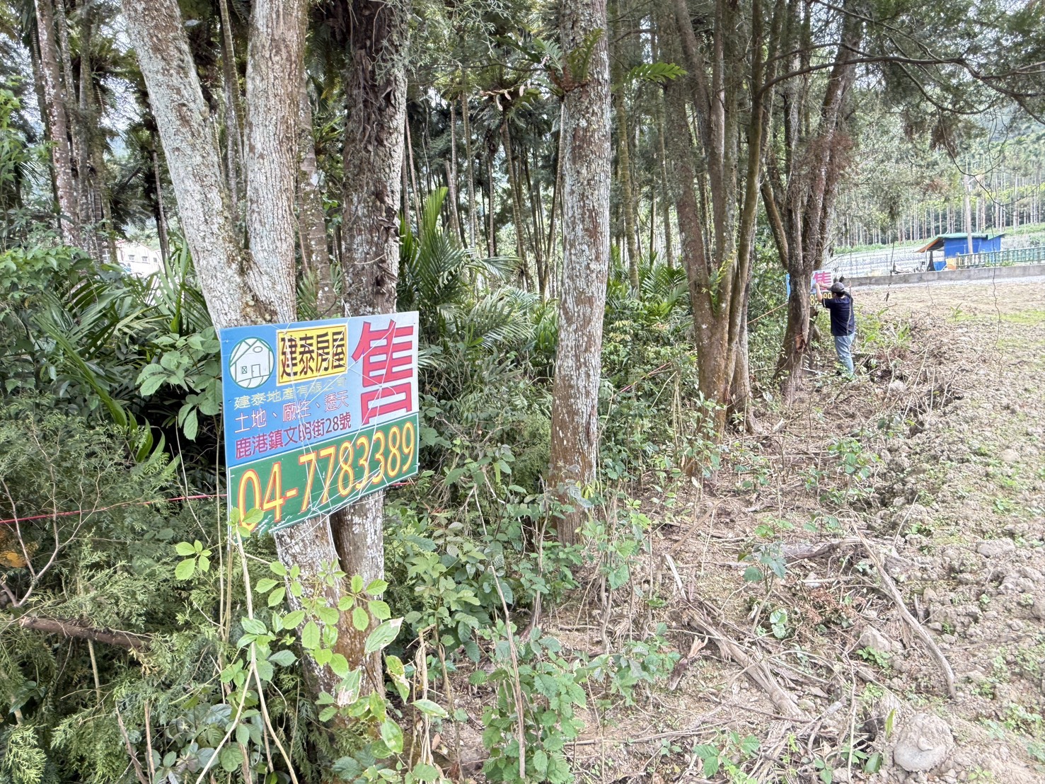 鳳凰谷土地