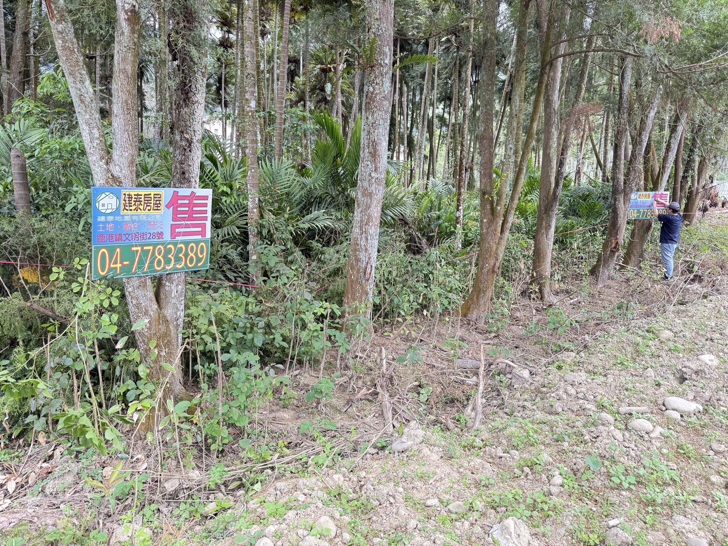 鳳凰谷土地