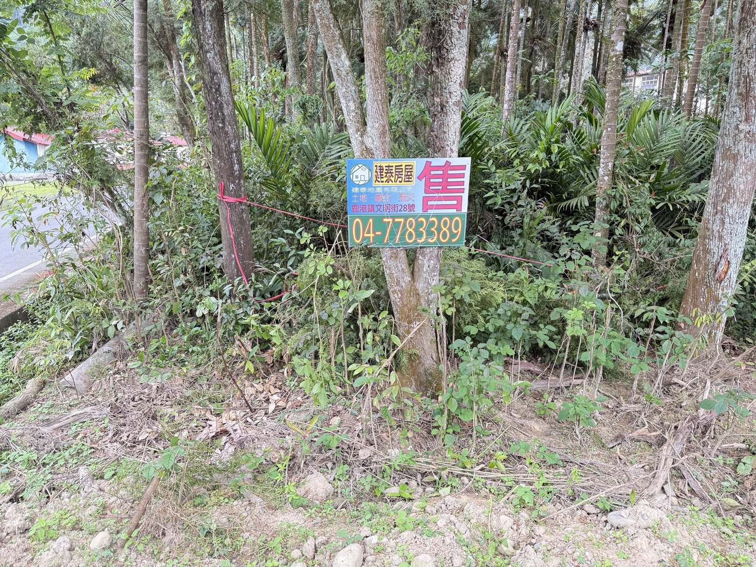 鳳凰谷土地
