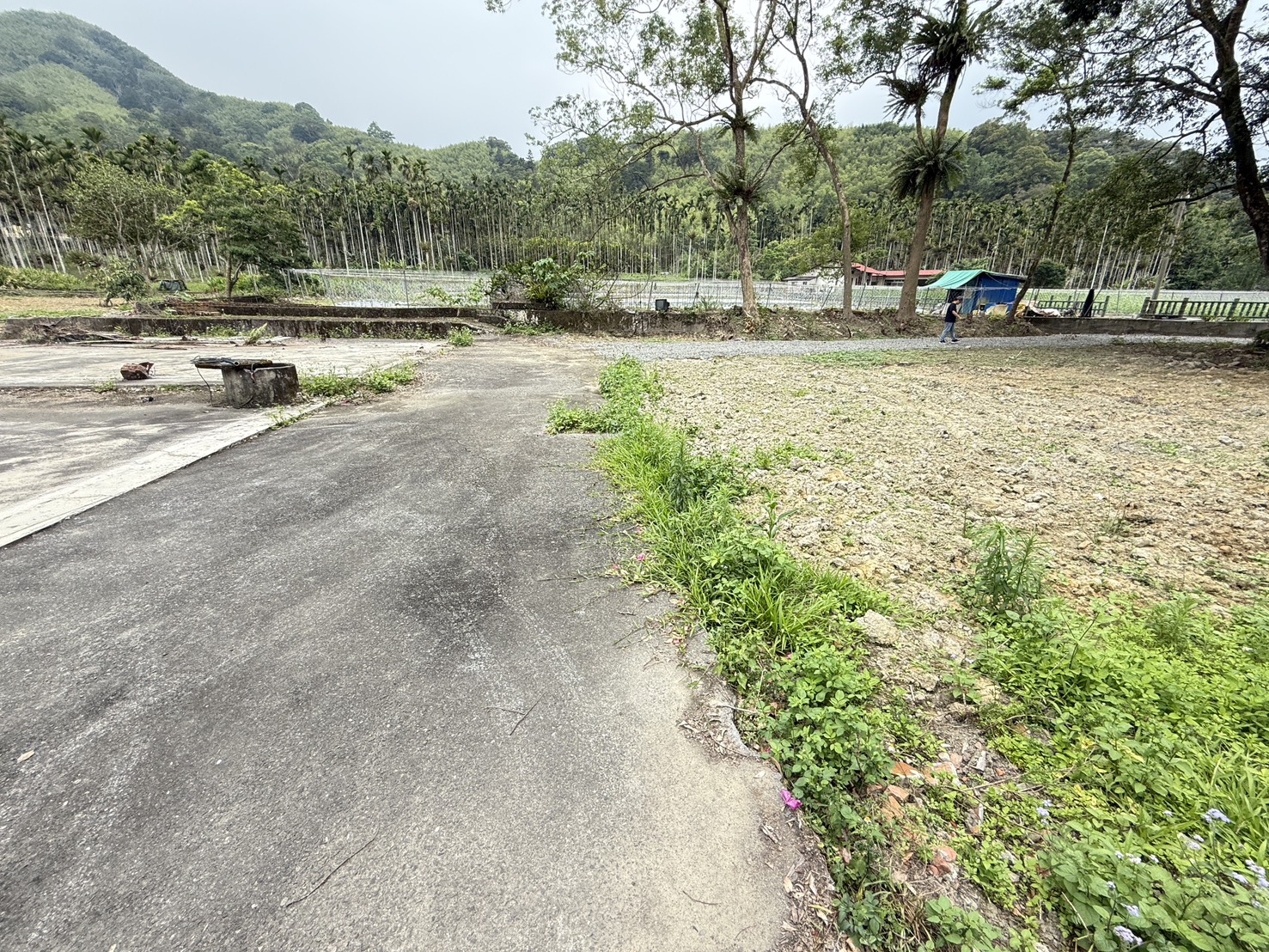 鳳凰谷土地