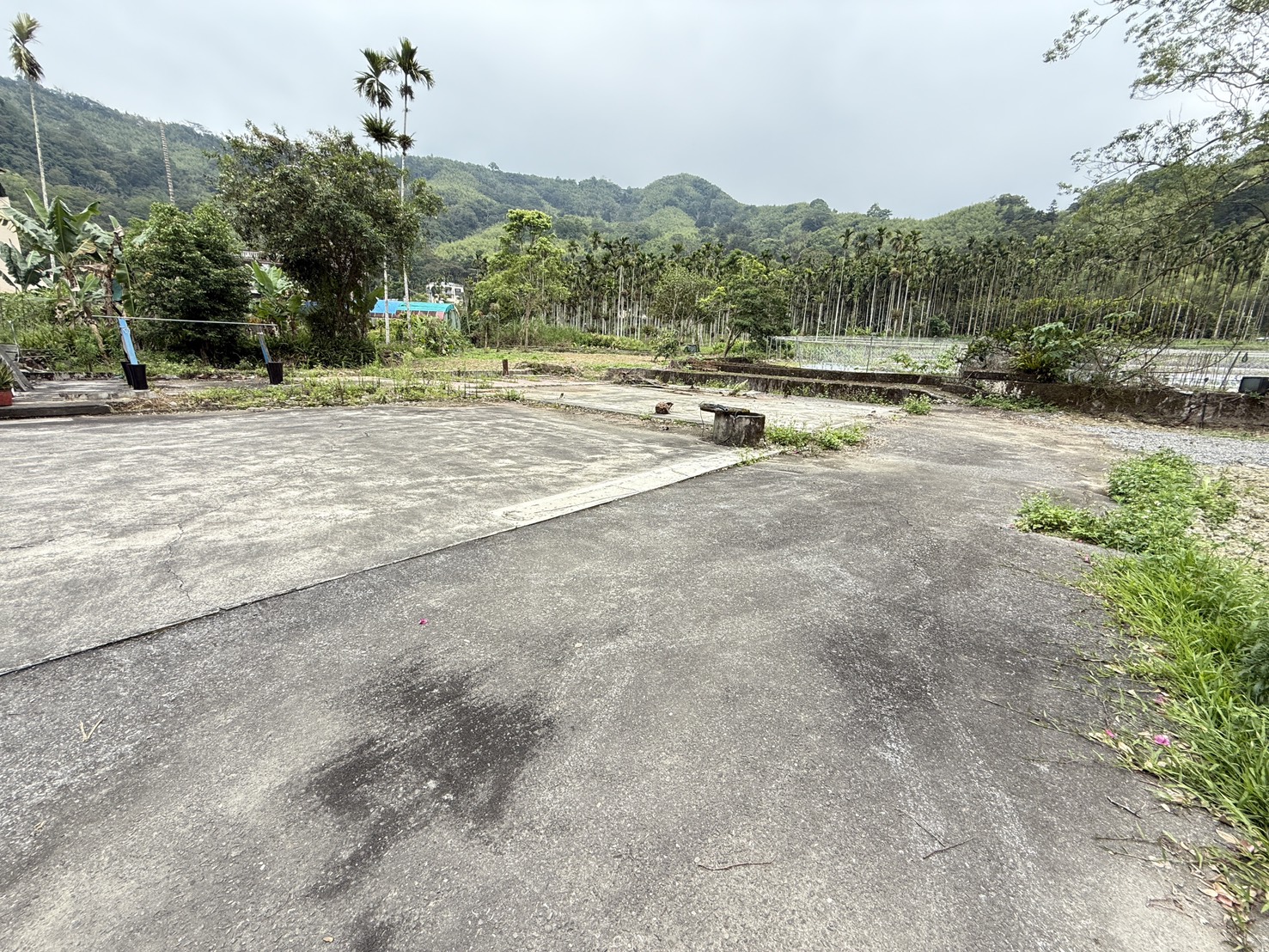 鳳凰谷土地