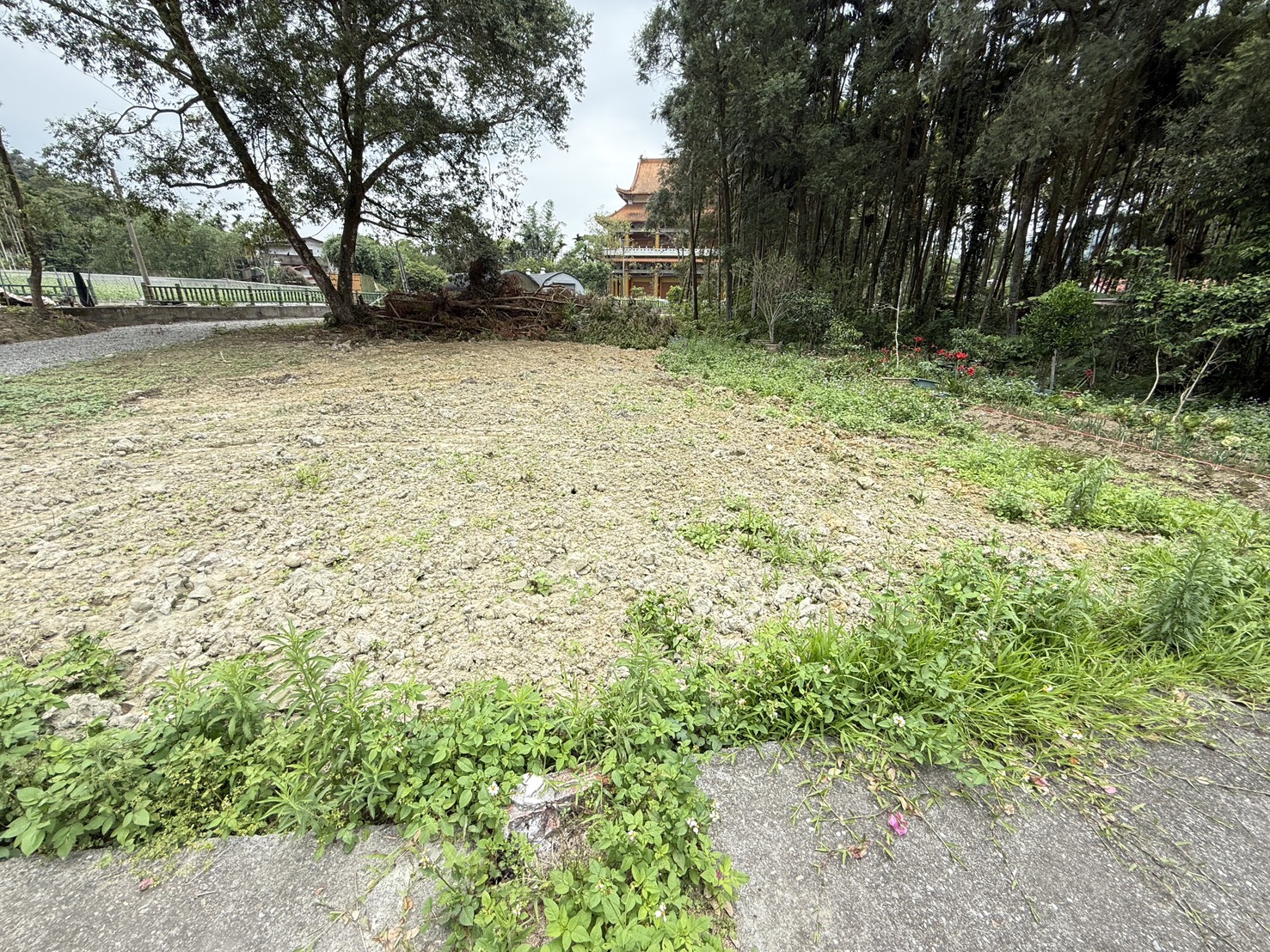 鳳凰谷土地