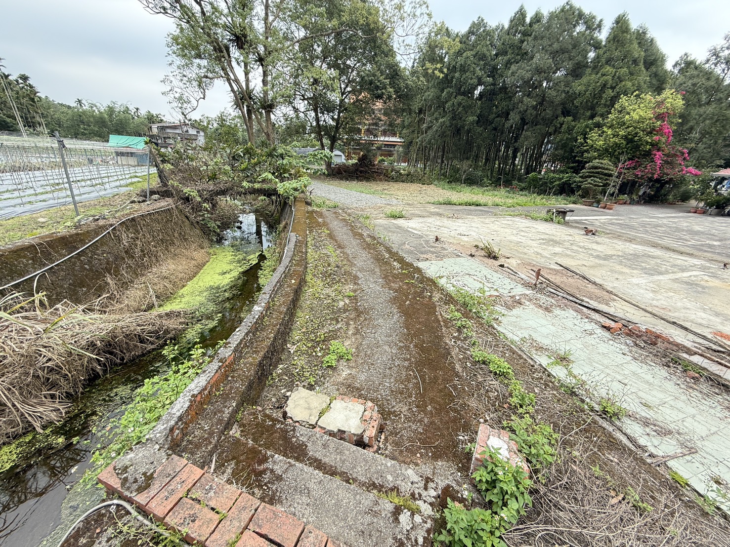 鳳凰谷土地