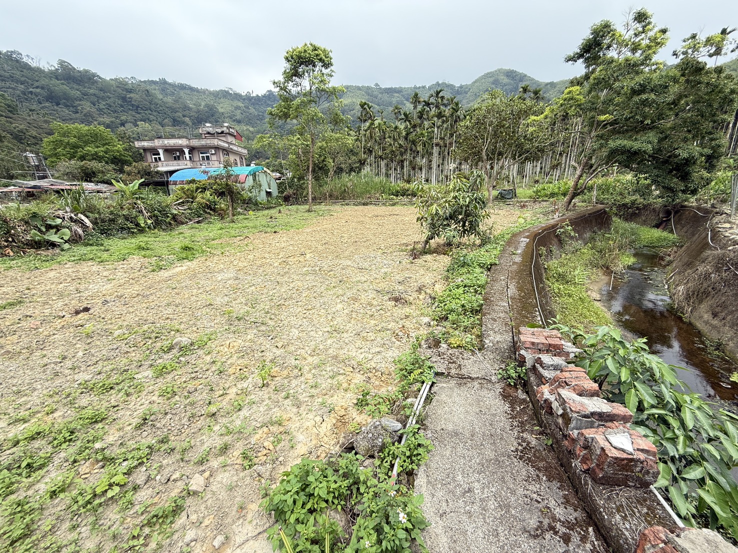 鳳凰谷土地