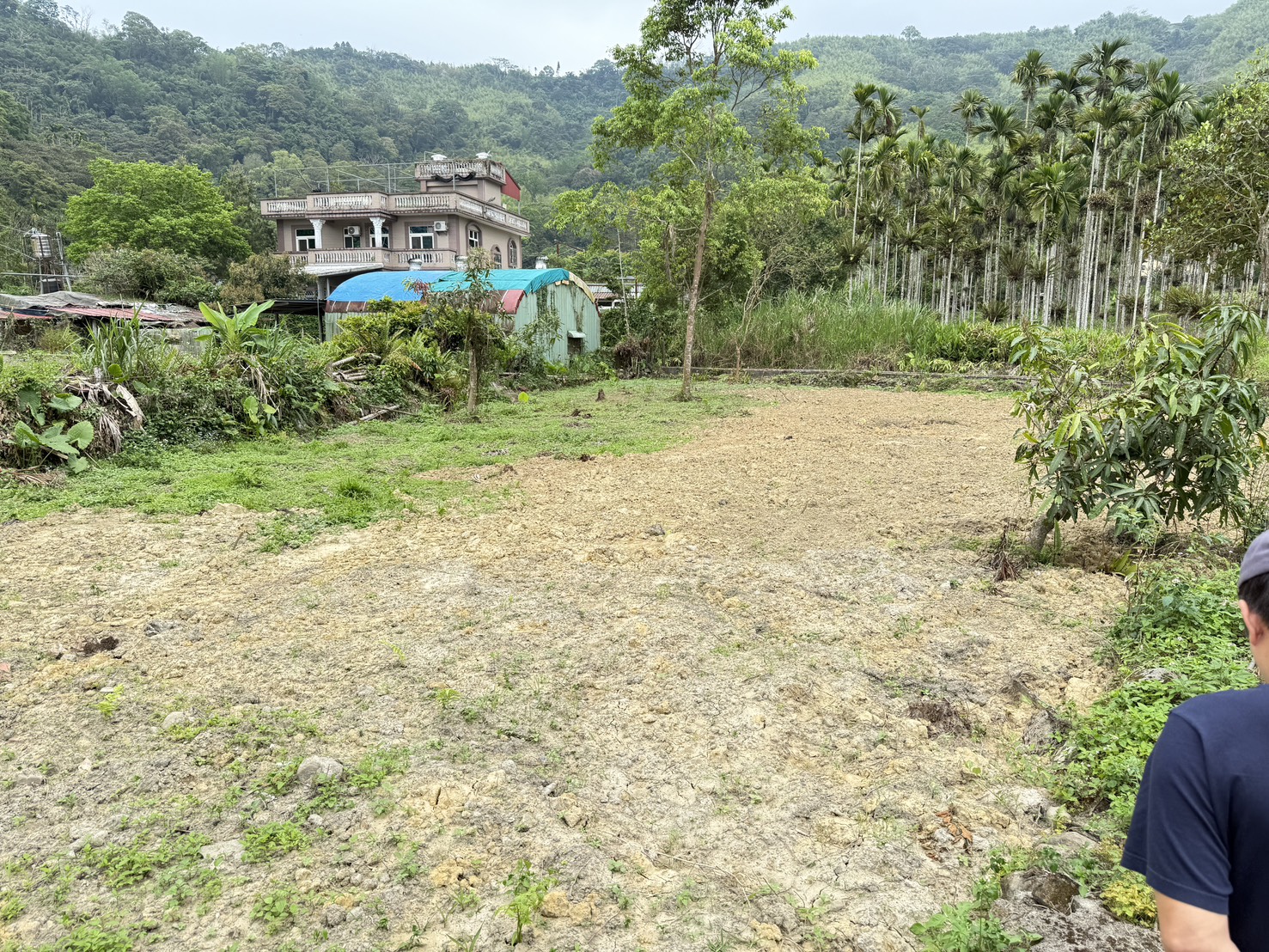 鳳凰谷土地